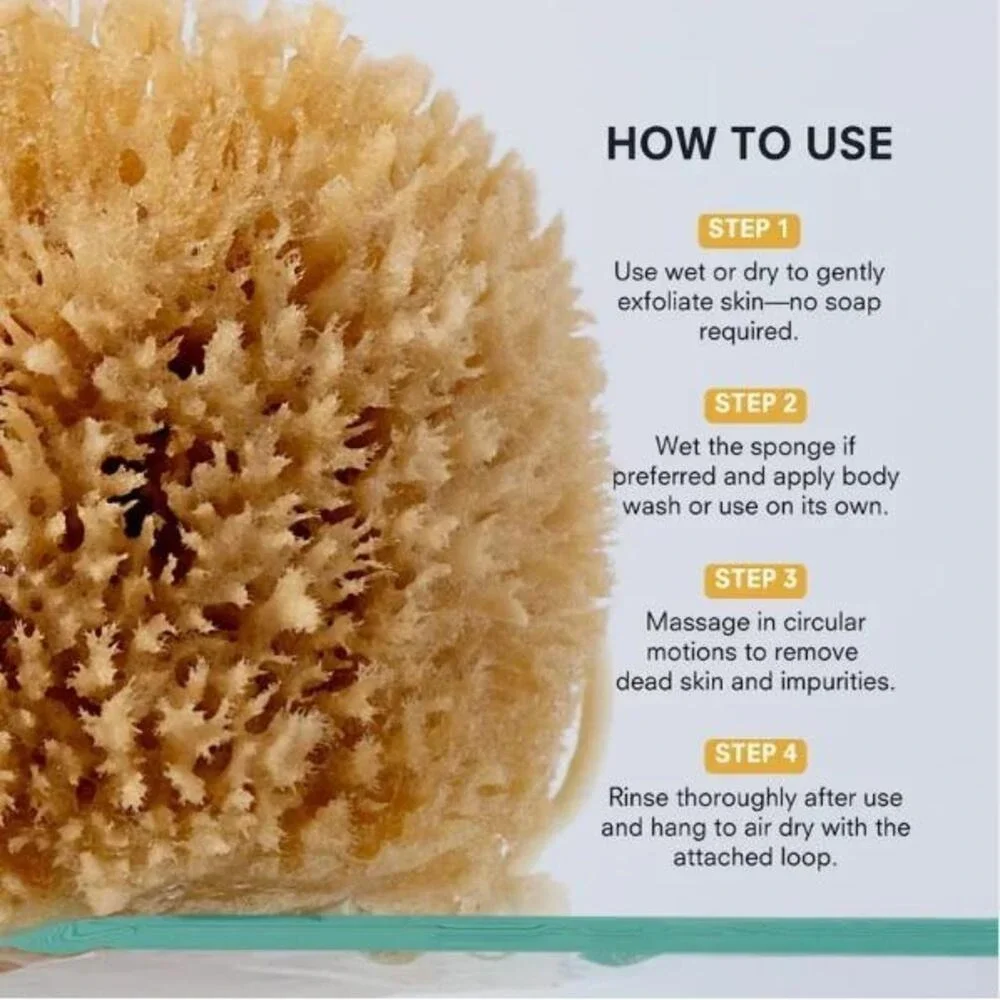 Spa‎ Gift | Public Goods Exfoliating Grass Sea Sponge | Under $15